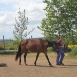 Den otevřených dveří na ranči Calamity Jane přilákal do Probulova plno lidí