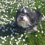 Želva Žofka ovládla červnovou fotosoutěž