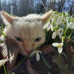 Želva Žofka ovládla červnovou fotosoutěž