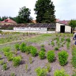 Krafferova zahrada v Jindřichově Hradci má bohatou historii, která sahá až do 18. století