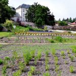 Krafferova zahrada v Jindřichově Hradci má bohatou historii, která sahá až do 18. století