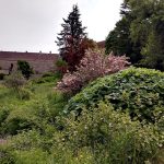 Krafferova zahrada v Jindřichově Hradci má bohatou historii, která sahá až do 18. století
