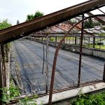 Krafferova zahrada v Jindřichově Hradci má bohatou historii, která sahá až do 18. století