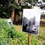 Krafferova zahrada v Jindřichově Hradci má bohatou historii, která sahá až do 18. století