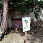 Krafferova zahrada v Jindřichově Hradci má bohatou historii, která sahá až do 18. století