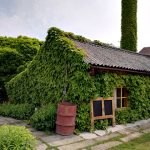 Krafferova zahrada v Jindřichově Hradci má bohatou historii, která sahá až do 18. století