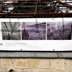 Krafferova zahrada v Jindřichově Hradci má bohatou historii, která sahá až do 18. století