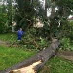 Písek sčítá škody po ničivé bouři: Pohroma v lesích, padlé stromy na sídlišti a zavřená plovárna