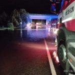 Písek sčítá škody po ničivé bouři: Pohroma v lesích, padlé stromy na sídlišti a zavřená plovárna