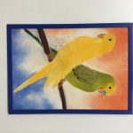 Hezčí prostředí pro očkování. Strakonické OČKO slouží jako galerie
