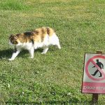 Želva Žofka ovládla červnovou fotosoutěž