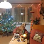 Želva Žofka ovládla červnovou fotosoutěž