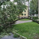 Pražské předměstí v Budějovicích je po bouřce plné padlých stromů