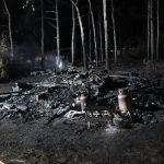 FOTO: U Orlické přehrady v noci hořelo 11 karavanů a dvě auta. Požár zasáhl i les