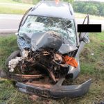 Řidič předjížděl přes plnou čáru, následkem střetu narazil do stromu a zemřel