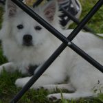 Ryby braly! Mužetického rybáře opět opanoval Zdeněk Vojáček ze Strakonic