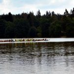 Ratmírovský rybník ovládly dračí lodě. Úspěch slavily domácí týmy