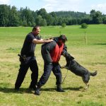Policejní kynologové předvedli dětem zadržení pachatele i vyhledávání marihuany