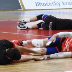 Jihostroj v dalším modelovém utkání porazil Kladno
