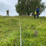 Vědci počítají hořečky. Jejich množství je nadprůměrné