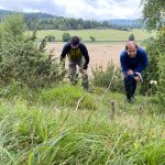 Vědci počítají hořečky. Jejich množství je nadprůměrné