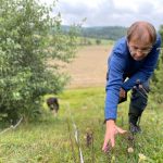 Vědci počítají hořečky. Jejich množství je nadprůměrné