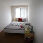 Kuplířka poskytovala nemovitosti k prostituci. Dívky přesouvala, aby se neokoukaly