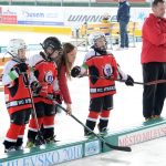 Milevský potěr si odbyl svou domácí premiéru v soutěži