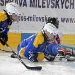 Milevský potěr si odbyl svou domácí premiéru v soutěži