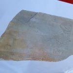 Sobotníci si v Sezimově Ústí prohlédli nálezy keramiky. S archeology nahlédli do minulosti