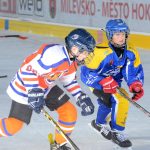 Milevští páťáci patří ve své kategorii k nejlepším v kraji