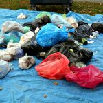 Rozbor odpadu z popelnice na sídlišti v Budějovicích má ukázat, že stavba spalovny je zbytečná