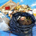 Rozbor odpadu z popelnice na sídlišti v Budějovicích má ukázat, že stavba spalovny je zbytečná