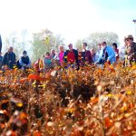 O autobusový výlet do Píseckých hor byl velký zájem. Podzimní příroda nabídla úžasné výhledy