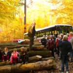 O autobusový výlet do Píseckých hor byl velký zájem. Podzimní příroda nabídla úžasné výhledy