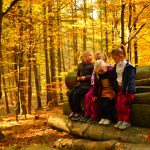 O autobusový výlet do Píseckých hor byl velký zájem. Podzimní příroda nabídla úžasné výhledy