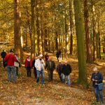 O autobusový výlet do Píseckých hor byl velký zájem. Podzimní příroda nabídla úžasné výhledy