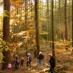 O autobusový výlet do Píseckých hor byl velký zájem. Podzimní příroda nabídla úžasné výhledy