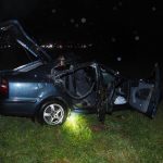 Kůň byl při střetu s autem odhozen do příkopu, kde uhynul