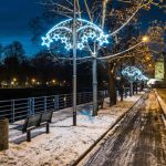 České Budějovice už mají vybraný vánoční strom. Bude z Litvínovic. Doplní se vánoční výzdoba