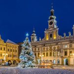České Budějovice už mají vybraný vánoční strom. Bude z Litvínovic. Doplní se vánoční výzdoba