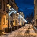 České Budějovice už mají vybraný vánoční strom. Bude z Litvínovic. Doplní se vánoční výzdoba