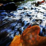 Listopadovou fotosoutěž vyhráli podzimníčci druháků