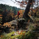Listopadovou fotosoutěž vyhráli podzimníčci druháků