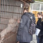 Děti z Bechyně se zapojily do šíření laskavosti. Přivezly dárky zvířatům z táborského útulku