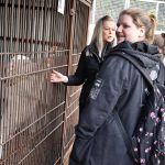 Děti z Bechyně se zapojily do šíření laskavosti. Přivezly dárky zvířatům z táborského útulku