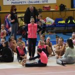VIDEO: Milevský pohár měl jubileum, uskutečnil se ročník číslo třicet