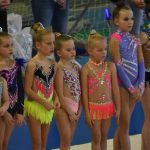 VIDEO: Milevský pohár měl jubileum, uskutečnil se ročník číslo třicet