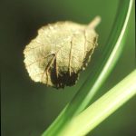 Listopadovou fotosoutěž vyhráli podzimníčci druháků