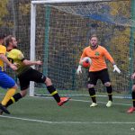 Hradišťské rezervě umělka svědčila, Oslov odvezl osmičku